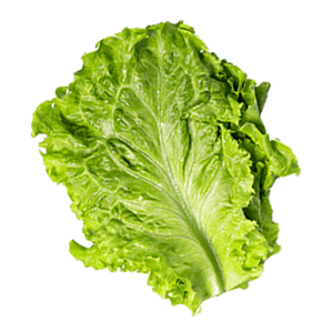 Salade le class