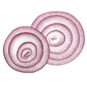 Oignon